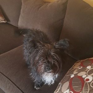 Meet your Posher, Nelwanda